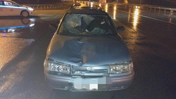 Водитель Lada насмерть сбил пешехода под Новосибирском