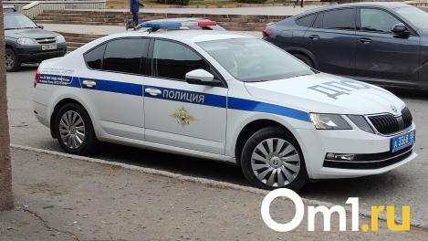 «Газель» сбила насмерть омичку у ТЦ «Маяк»