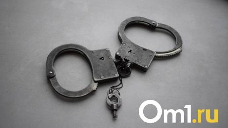 Два новосибирца получили 15 лет за незаконное производство 19 килограммов мефедрона