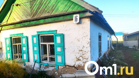 Омскую «бабушку из погреба» отправили в дом престарелых