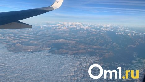 Омичей спрашивают, нужен ли им авиарейс в Ингушетию