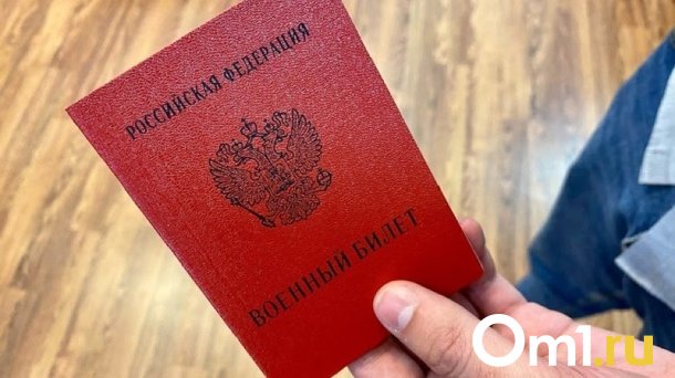 Эксперты из Новосибирска рассказали о последствиях уклонения от электронной повестки