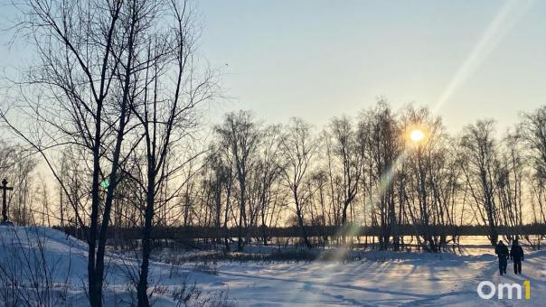 Прокурор ответил омским депутатам на запрос о вырубке красноярского бора