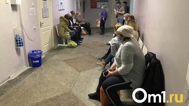 Россиянам угрожает распространение лихорадки Западного Нила