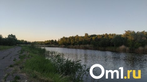 В Омской области утонули четыре рыбака