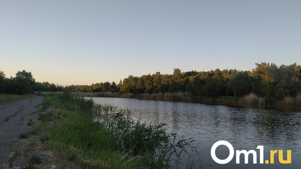В Омской области утонули четыре рыбака
