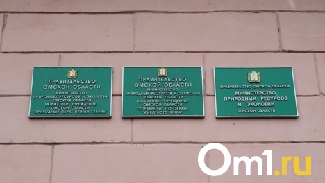 В омское Минприроды подкинули шкуру убитой косули. ФОТО