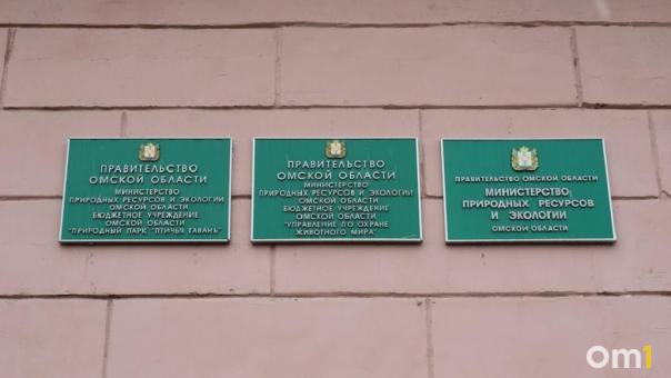 В омское Минприроды подкинули шкуру убитой косули. ФОТО