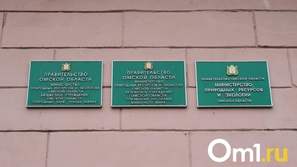 В омское Минприроды подкинули шкуру убитой косули. ФОТО