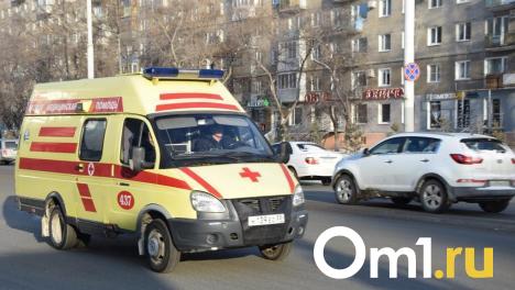 На Левом берегу водитель съехал в кювет и умер в скорой