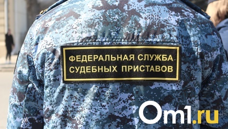 Как новосибирцам защитить имущество, если его арестовали приставы