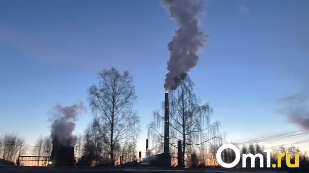 «Вот и стало тепло, снова запахи»: омичи пожаловались на жуткую вонь в городе