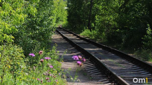 Избежать столкновения не удалось: в Омске женщина погибла на железной дороге