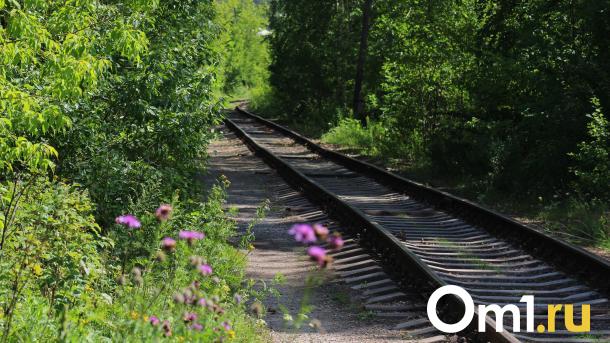 Избежать столкновения не удалось: в Омске женщина погибла на железной дороге