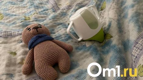 Лиса и Спартак: названы редкие имена, которые омичи давали своим детям в 2025 году