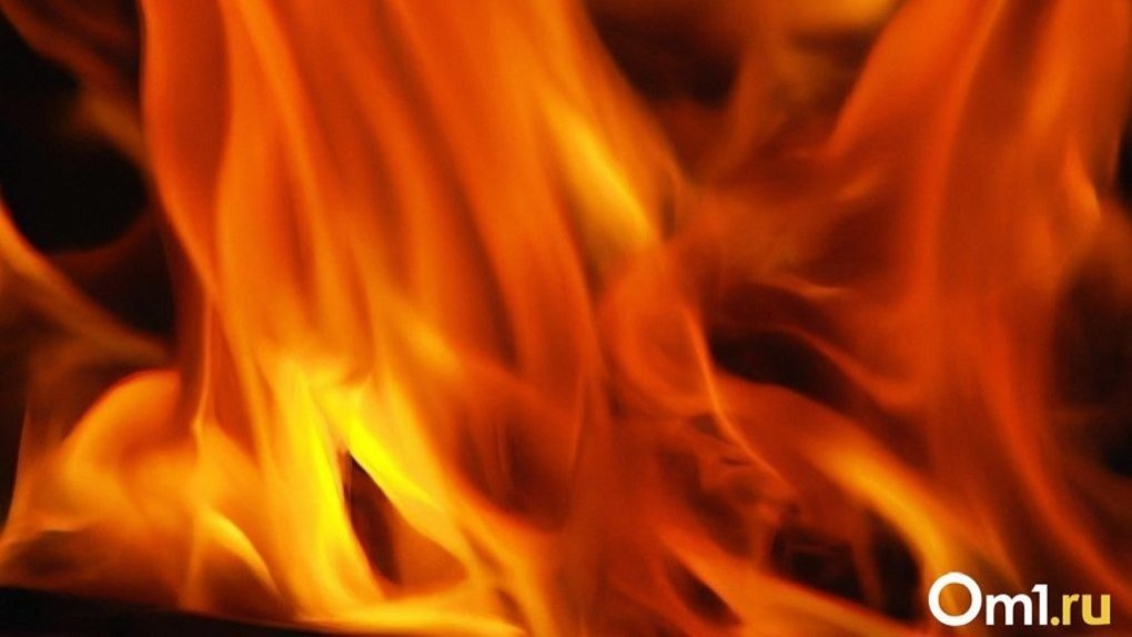 Около института ФСБ в Новосибирске сгорела припаркованная иномарка