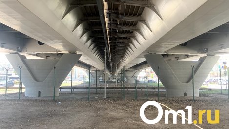 Депутаты забраковали идею новой развязки в центре Омска
