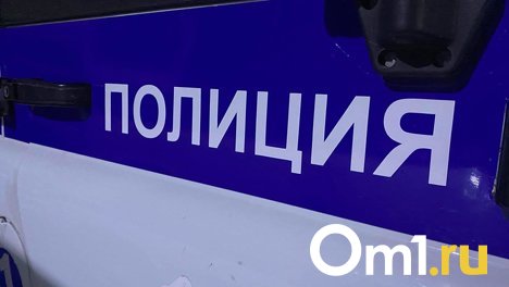 Снаряд для пушки возле гаража нашла жительница Новосибирска