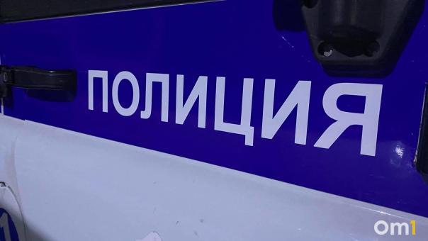 Снаряд для пушки возле гаража нашла жительница Новосибирска