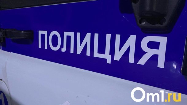 Снаряд для пушки возле гаража нашла жительница Новосибирска