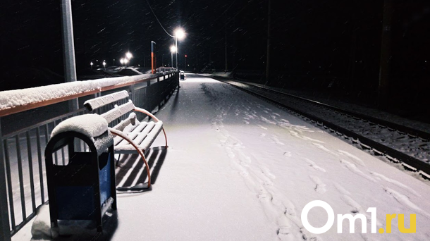 Пропавшую два дня назад пенсионерку нашли мёртвой под Новосибирском