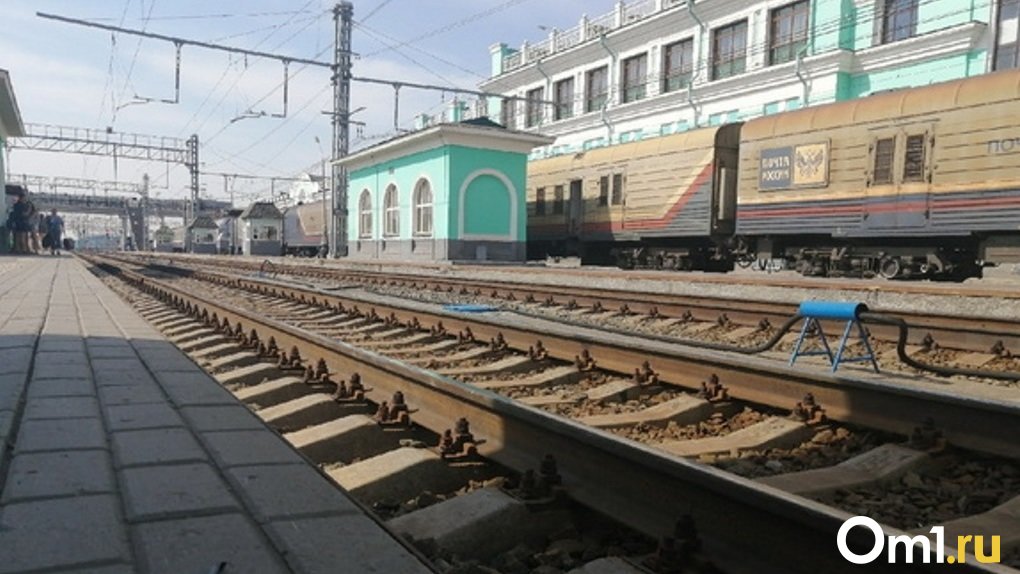 Соцсети: поезд сбил человека на переезде под Омском