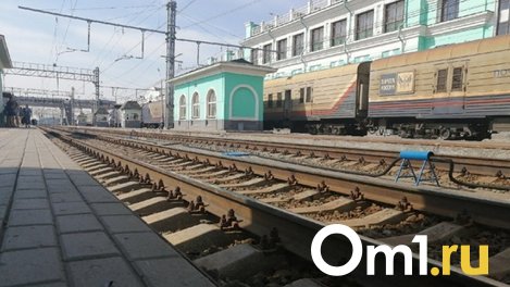 Соцсети: поезд сбил человека на переезде под Омском