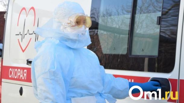 Эксперт рассказал, как предотвратить завоз жёлтой лихорадки в Россию