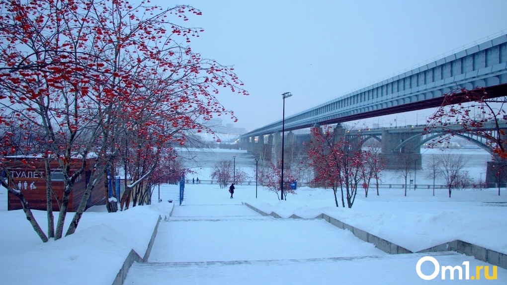 Морозы до -31 градуса придут в Новосибирскую область