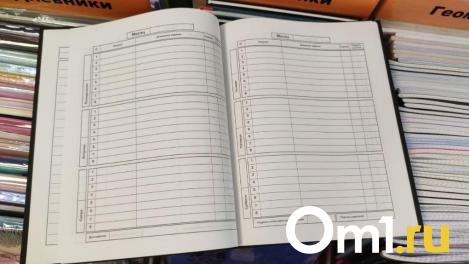 Стало известно, как будут отдыхать новосибирские школьники в 2024/25 учебном году