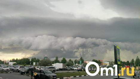 Мэрия предупреждает омичей об опасном ветре