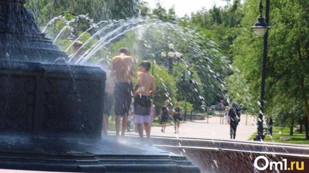 Жара до +33: Омскую область ждут знойные выходные