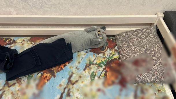Стало известно состояние мальчика, которого бабушка пыталась убить молотком