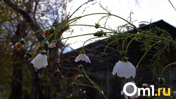 Cиноптики cпрогнозировали сильные дожди и грозы в Омске в начале августа