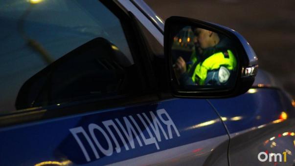 Омич зарезал свою бабушку за то, что она просила сделать музыку тише