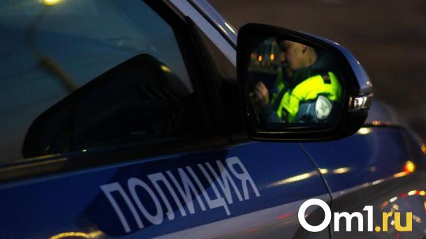 Омич зарезал свою бабушку за то, что она просила сделать музыку тише
