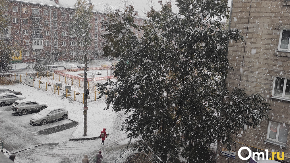 Омск выпал снег. Снегопад. Первый снег в Новосибирске. Снег в городе. Снегопад в Омске.