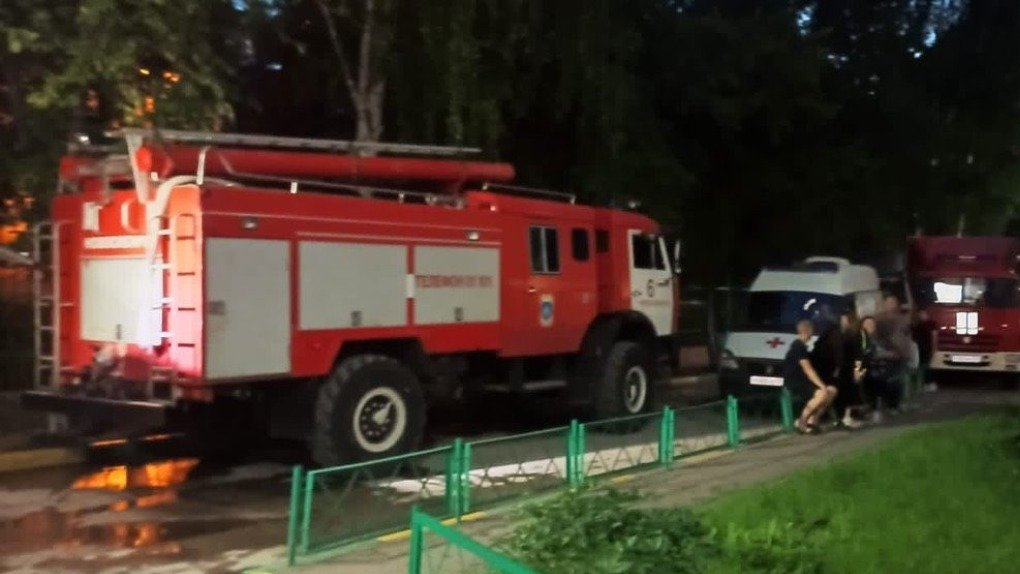 В Новосибирске пожарные спасли собаку из горящей квартиры