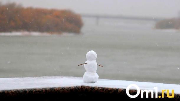 Плюсовая температура ждёт жителей Омска в начале января