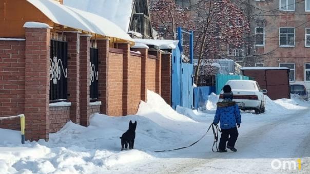 Начало недели встретит омичей ночными заморозками