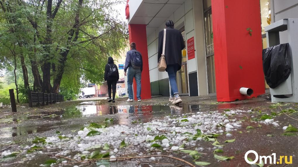 Возможны срыв кровли и обрыв проводов: в МЧС объявили о штормовом ветре в Омской области