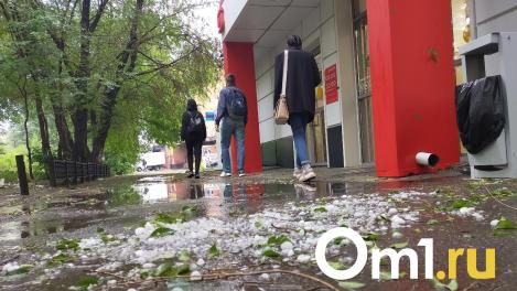 Возможны срыв кровли и обрыв проводов: в МЧС объявили о штормовом ветре в Омской области