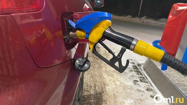 На омских АЗС внезапно снизилась цена на бензин