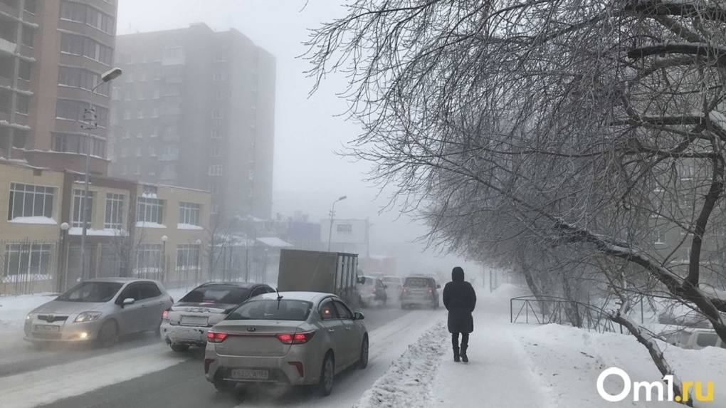 Аномальные морозы накроют Новосибирскую область, предупредил глава Гидрометцентра Роман Вильфанд
