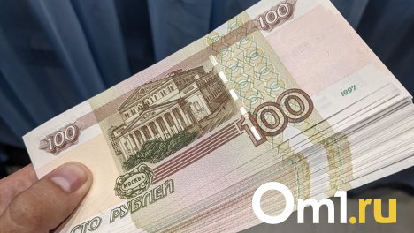 Омича обманули на 50 тысяч рублей при покупке дачи