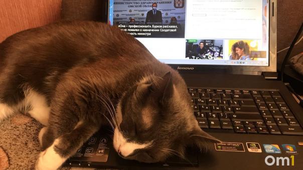 Губернатор Бурков не исключает введение «удалёнки» в Омске из-за омикрона