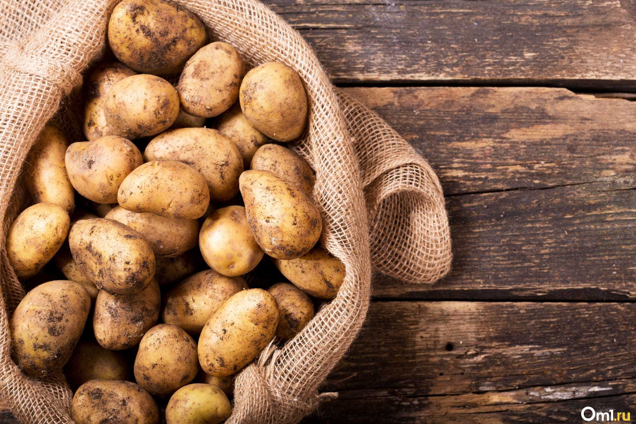 Картинка картошка. Картофель свежий мокап. Картофель мелкий картинка. Potatoes in Uganda. 20 Potatoes a Day.