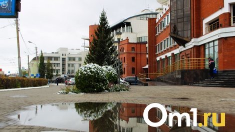 В начале ноября в Омскую область придёт потепление