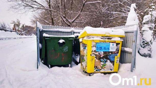 В Омске нашли женщину, которая выбросила младенца в мусорный бак