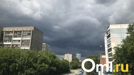 В Новосибирске нашествие мошек откладывается из-за погоды